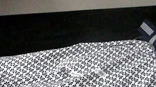 ایک نسلی threesome کے لئے کالوں کے ساتھ اکیلے چھوڑ دیا سکسی خود ارضایی