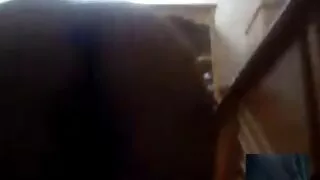 خوبصورت آبنوس پاؤں fingering اور سکس عالی با کیفیت اتارنا fucking